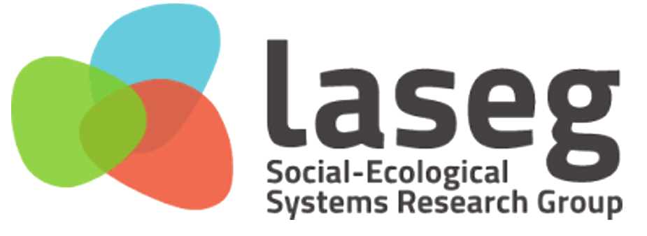 Laseg logo