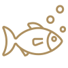 Fish - Ico
