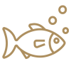 Fish - Ico Fish - Ico