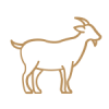 ico-cabra