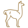 Icono Llama